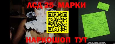 крисы Кулебаки
