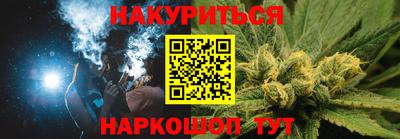 крисы Кулебаки