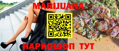 крисы Кулебаки