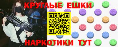 крисы Кулебаки