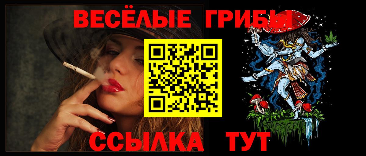 Куйбышев  Псилоцибиновые грибы GOLDEN TEACHER  Вход с VPN 